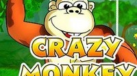 Crazy Monkey