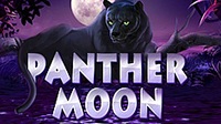 Panther Moon