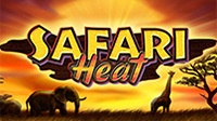 Safari Heat